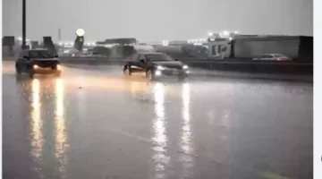 هطول أمطار غزيرة في الباطن مقابل أمطار خفيفة في القصيم وتأثيرها على الزراعة المحلية